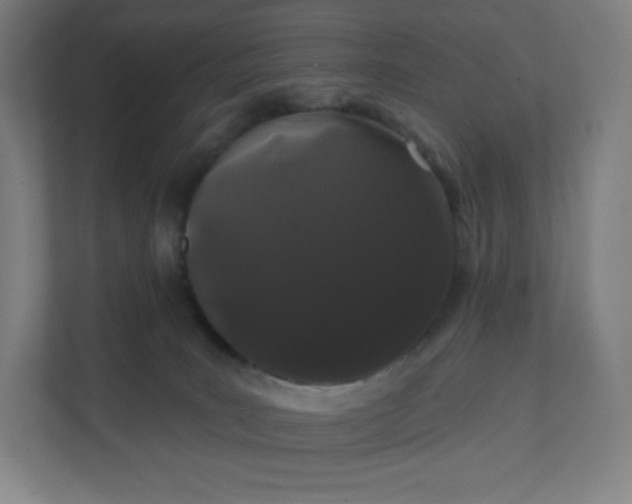 X0000112160035200908211443