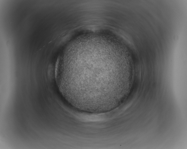 X0000112160036200908211443