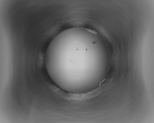 X0000112160037200908211443