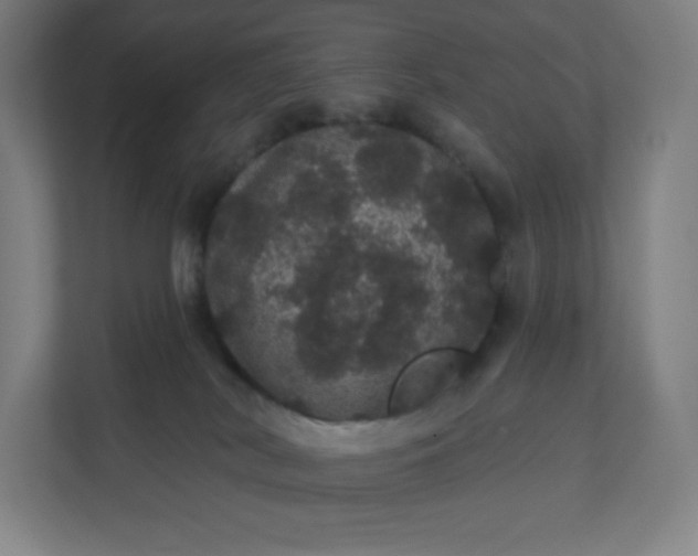 X0000112160038200908211443