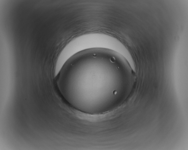 X0000112160039200908211443