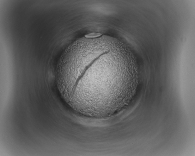 X0000112160040200908211443