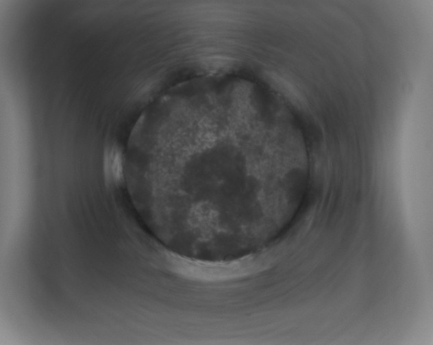 X0000112160042200908211443