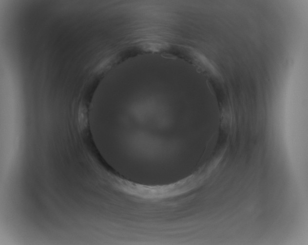 X0000112160043200908211443