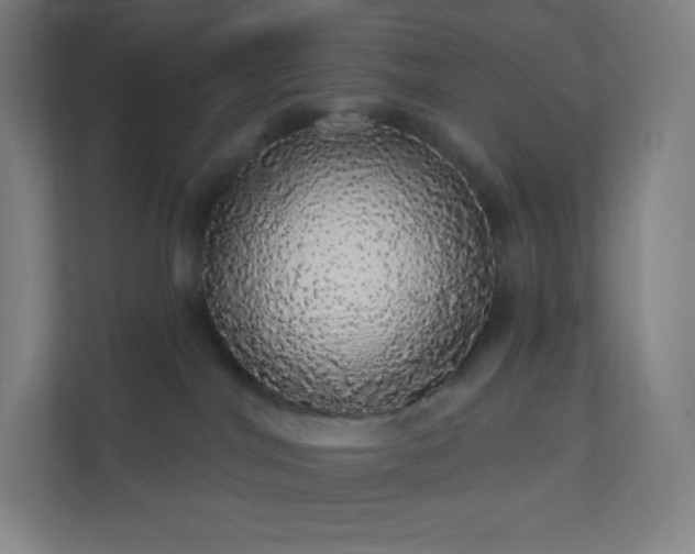 X0000112160044200908211443