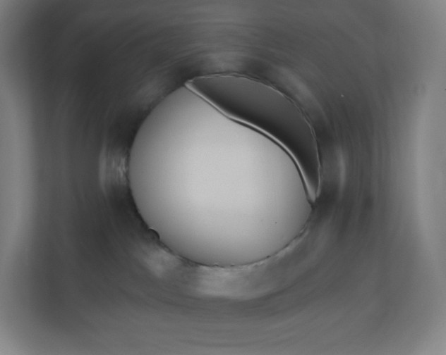 X0000112160045200908211443