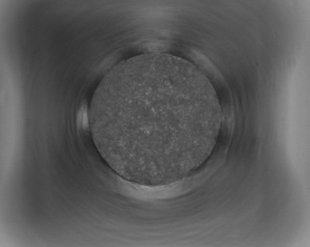 X0000112160046200908211443