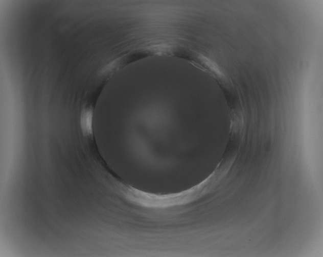 X0000112160047200908211443