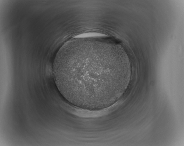 X0000112160048200908211443