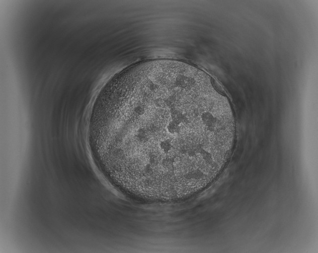 X0000112160049200908211442