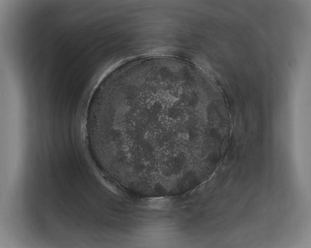 X0000112160050200908211442