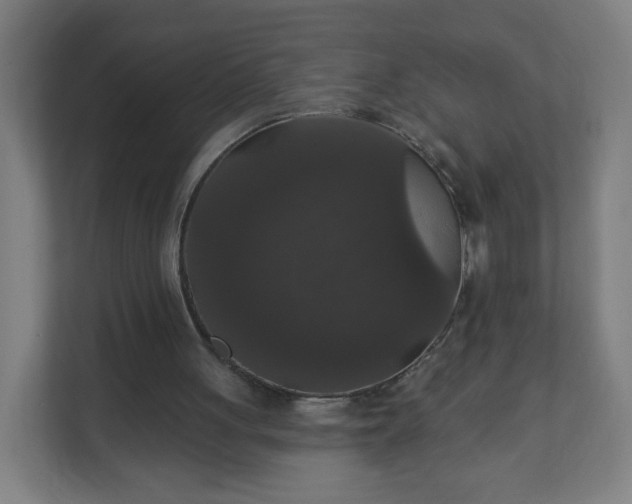 X0000112160051200908211442