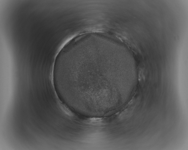 X0000112160052200908211442