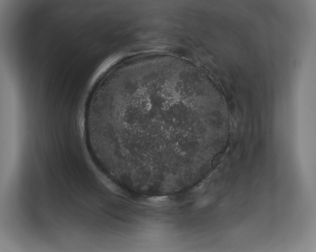 X0000112160054200908211442