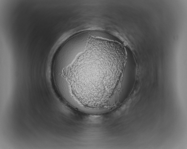 X0000112160055200908211442