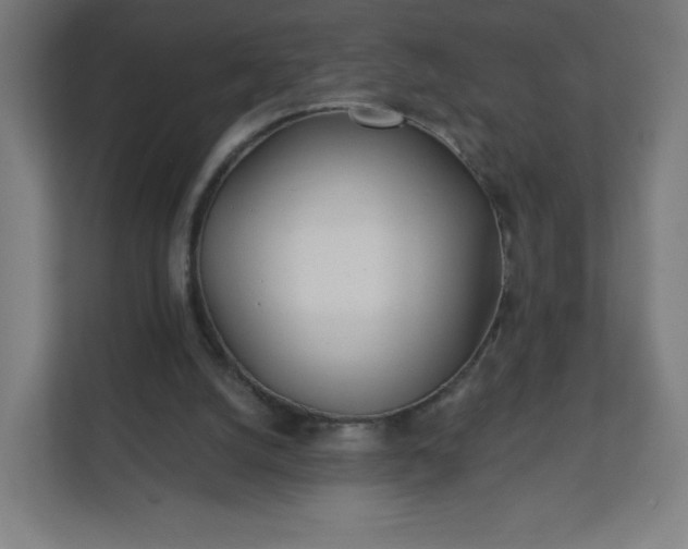 X0000112160056200908211442