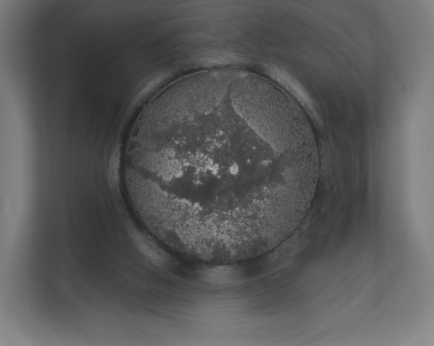 X0000112160058200908211442