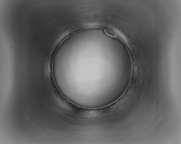 X0000112160059200908211442