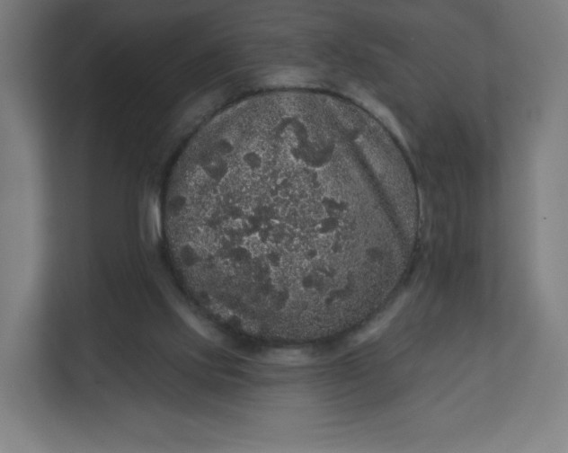 X0000112160061200908211442