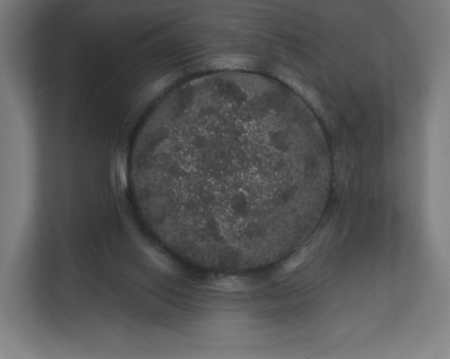 X0000112160062200908211442