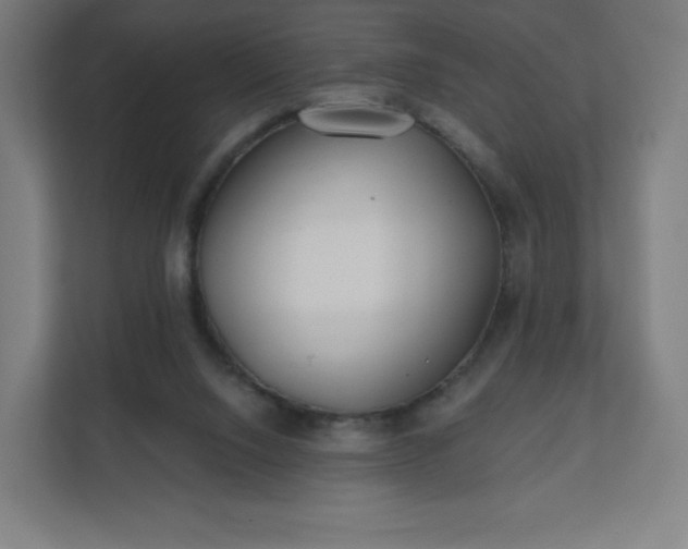 X0000112160064200908211442