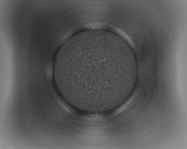 X0000112160065200908211442