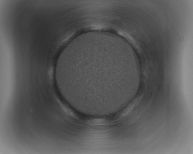 X0000112160066200908211442