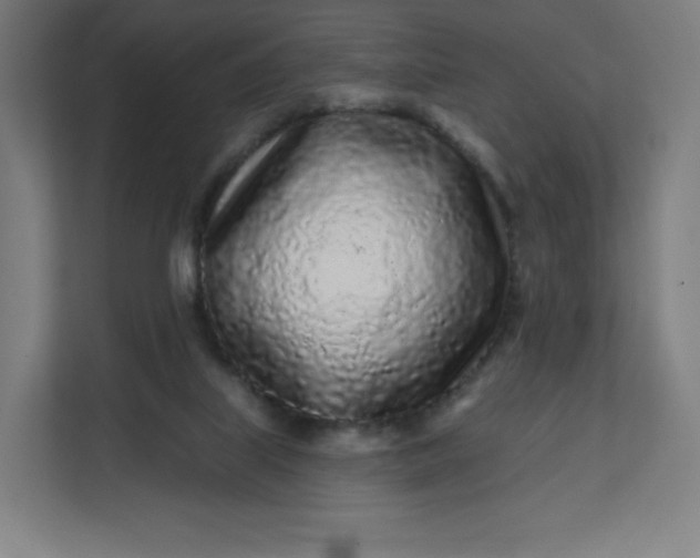 X0000112160067200908211442