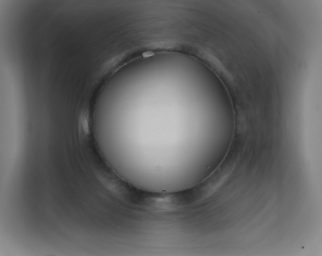 X0000112160068200908211442