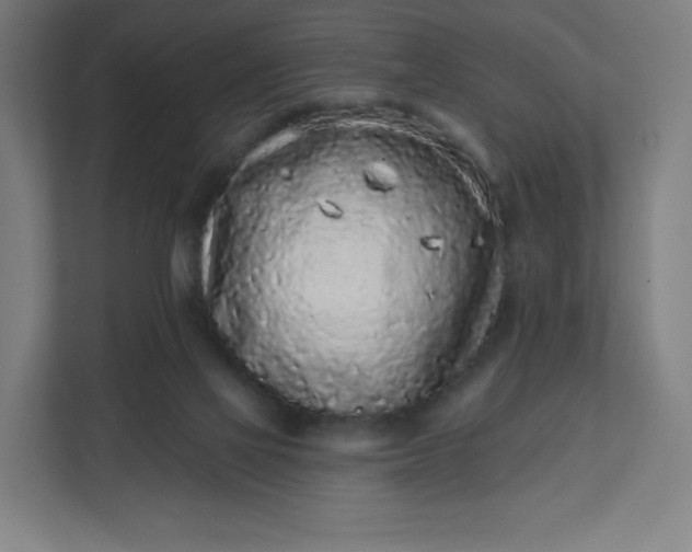 X0000112160069200908211442