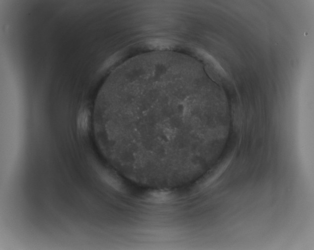 X0000112160071200908211442