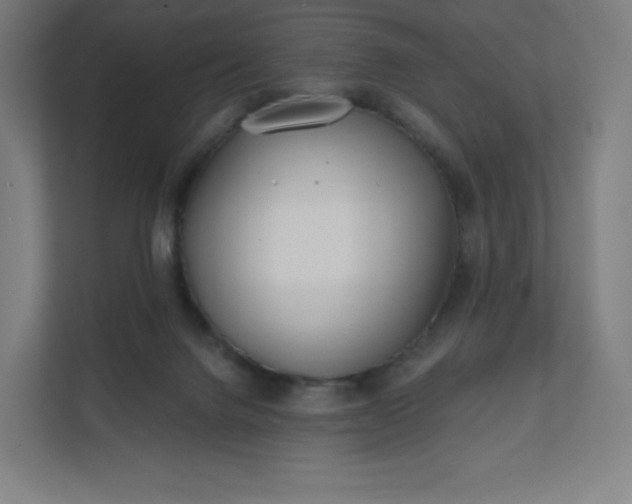 X0000112160072200908211442