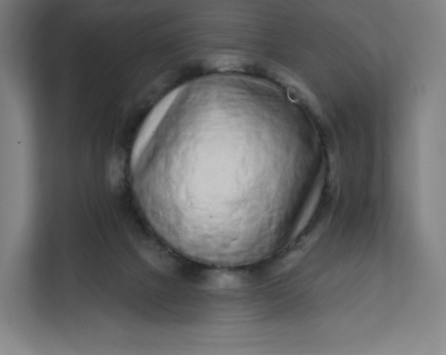 X0000112160073200908211442