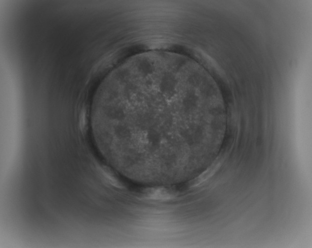 X0000112160074200908211443