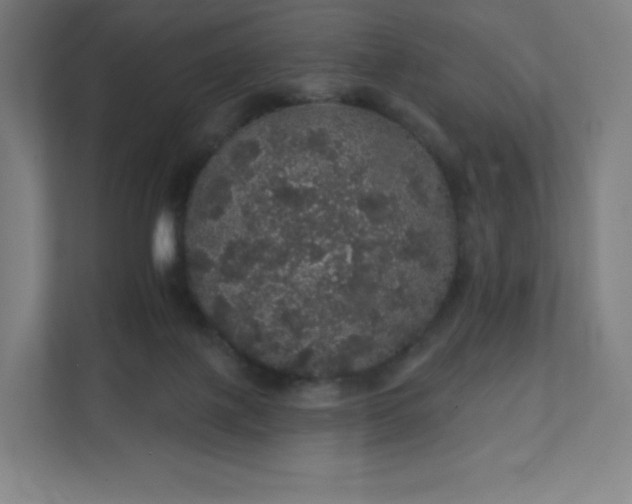 X0000112160075200908211443