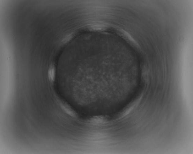 X0000112160076200908211443