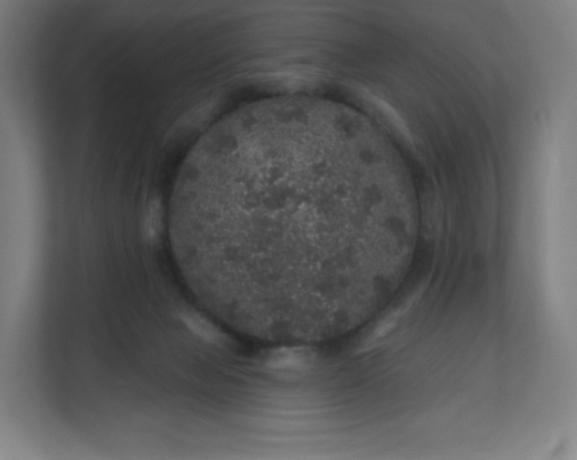 X0000112160077200908211443