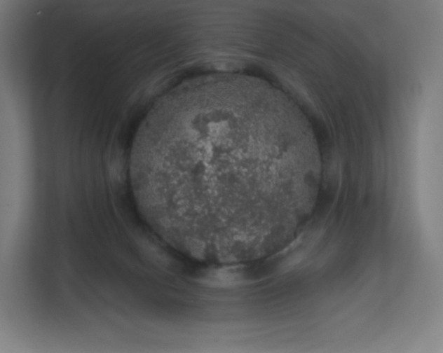 X0000112160078200908211443