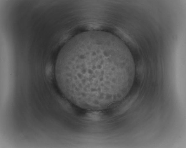 X0000112160079200908211443