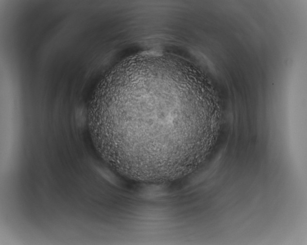 X0000112160081200908211443