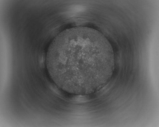 X0000112160082200908211443