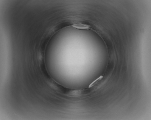 X0000112160084200908211443