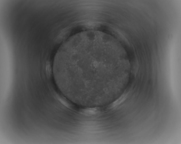 X0000112160086200908211443