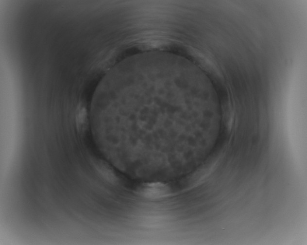 X0000112160087200908211443