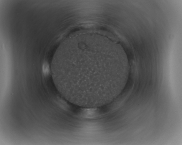 X0000112160089200908211443