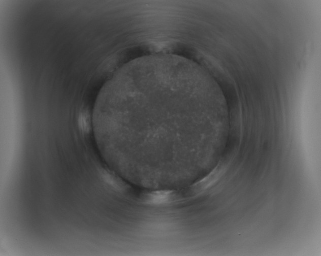 X0000112160090200908211443