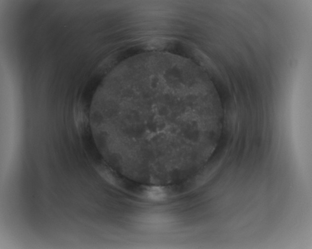 X0000112160091200908211443