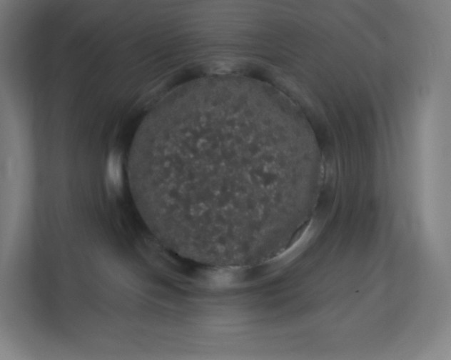 X0000112160094200908211443