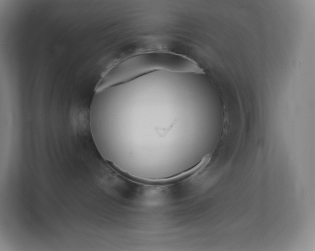 X0000112160096200908211443