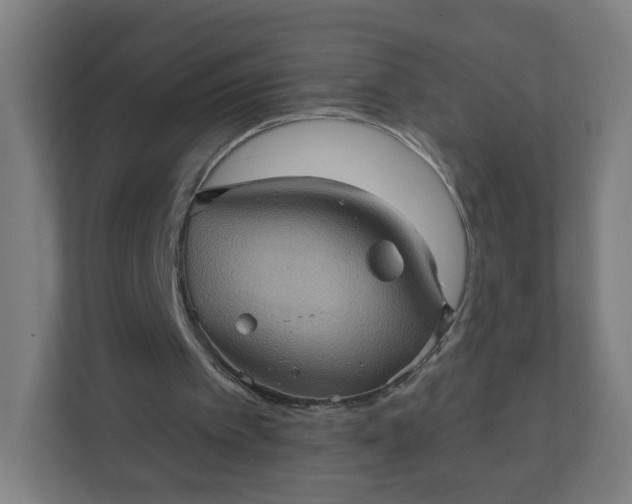 X0000112160097200908211442